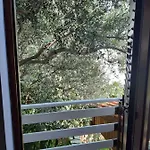 Gordana Apartman